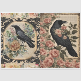 カラス組織 薄葉紙