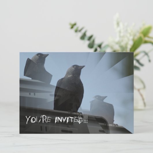 カラス鳥の招待状 招待状 (スタンド正面)