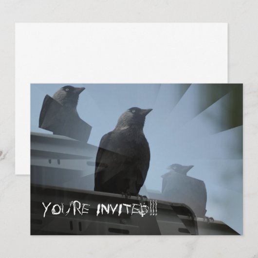 カラス鳥の招待状 招待状 (正面/裏面)
