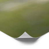 カラス鳥の給餌用ポスター ポスター (角)