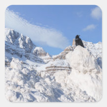 カラス・アットクラウフット・マウンテンAlbertaカナダ