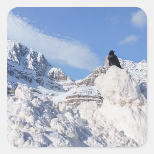 カラス・アットクラウフット・マウンテンAlbertaカナダ スクエアシール (正面)