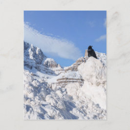 カラス・アットクラウフット・マウンテンAlbertaカナダ ポストカード