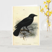 カラス カード (黄色い花)