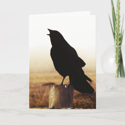 カラス カード (正面)