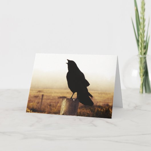 カラス カード (正面)