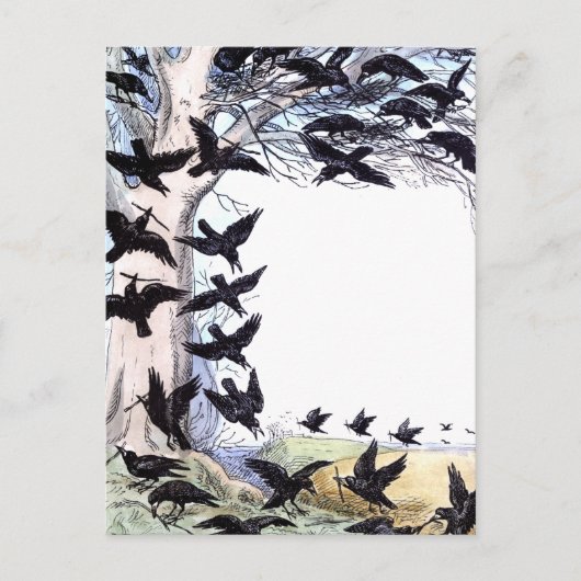 カラス シーズンポストカード (正面)