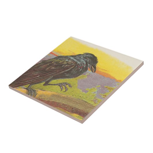 カラス タイル (側面)