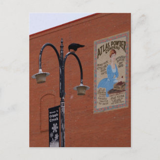 カラス&ダイナマイト ポストカード