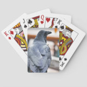 カラス トランプ (裏面)