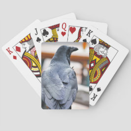 カラス トランプ