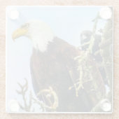 カラス・フォトボム付きハゲおもしろいワシ ガラスコースター (裏面)