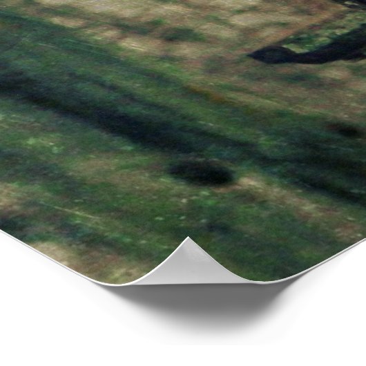 カラス ポスター (角)