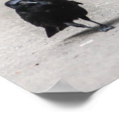 カラス ポスター (角)