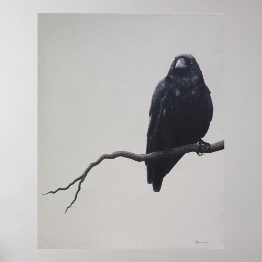 カラス ポスター (正面)