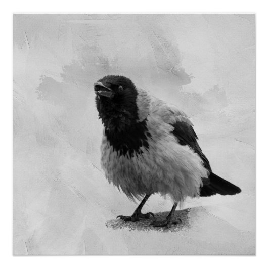 カラス ポスター (正面)