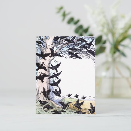 カラス ポストカード (スタンド正面)