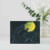 カラス ポストカード (スタンド正面)