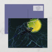 カラス ポストカード (正面/裏面)