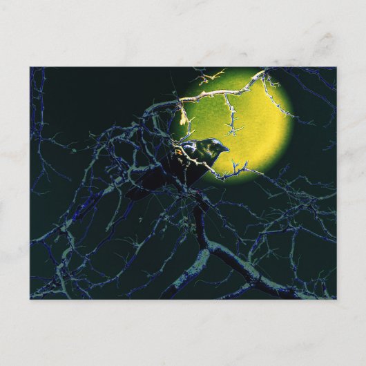 カラス ポストカード (正面)