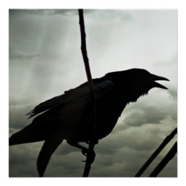 カラス/レイヴンのポスター ポスター