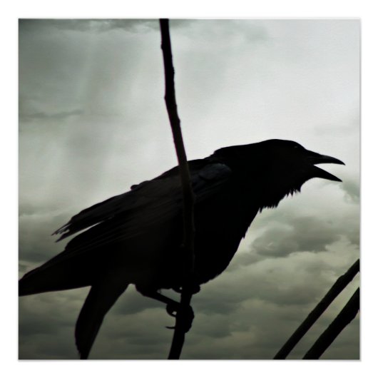 カラス/レイヴンのポスター ポスター (正面)