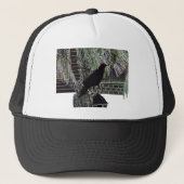 カラス（角灯） キャップ (正面)