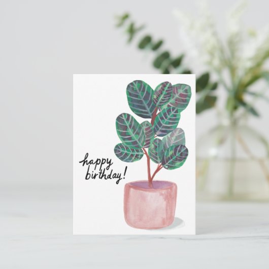 カラテア 祈りの植物 水彩画 誕生日おめでとう ポストカード (スタンド正面)