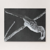 カラハリ動物，イエローバードホルンビル ジグソーパズル (横)