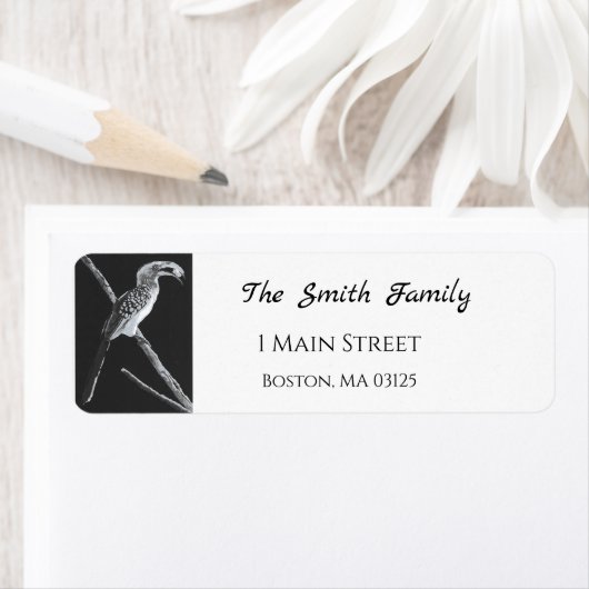 カラハリ動物，イエローバードホルンビル ラベル (インサイチュ)