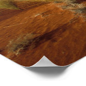 カラハリ砂漠の風景、ガラガディ越境2 ポスター (角)