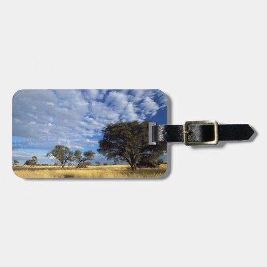 カラハリ砂漠の風景、Kgalagadi+Transfrontier ラゲッジタグ (正面横)