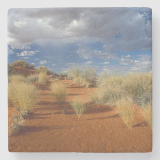 カラハリ砂漠の風景、Kgalagadi+Transfrontier 2 ストーンコースター (正面)
