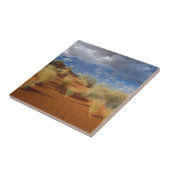 カラハリ砂漠の風景、Kgalagadi+Transfrontier 2 タイル (側面)