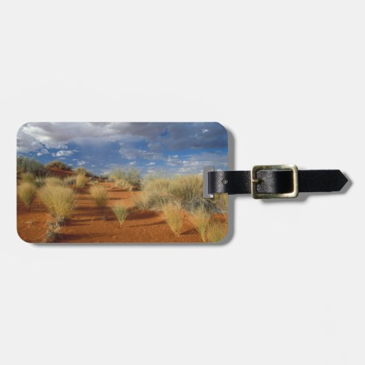カラハリ砂漠の風景、Kgalagadi+Transfrontier 2 ラゲッジタグ (正面横)