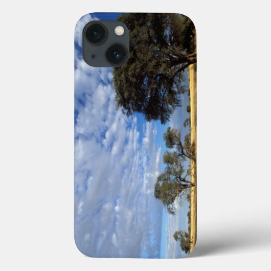 カラハリ砂漠の風景、Kgalagadi+Transfrontier Case-Mate iPhoneケース (裏面)