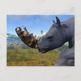 カラハリ表現 ポストカード