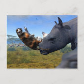 カラハリ表現 ポストカード (正面)