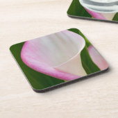 カラパノ コースター (左側)