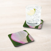 カラパノ コースター (右側)