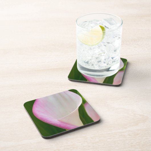 カラパノ コースター (右側)