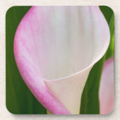 カラパノ コースター (正面)