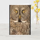 カラフトフクロウの挨拶状 カード (黄色い花)