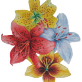 カラフルかわいらしの母の花 カード