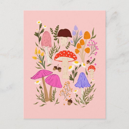 カラフルきのこ及び野草イラストレーション ポストカード (正面)