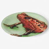 カラフルで図解入りの、写真付きのな紙皿-カエル ペーパープレート (アングル)