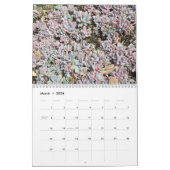 カラフルで水気が多い伝播のカレンダー カレンダー (3月 2026)