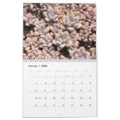 カラフルで水気が多い伝播のカレンダー カレンダー (1月 2026)