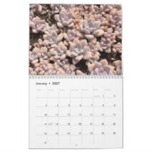 カラフルで水気が多い伝播のカレンダー カレンダー (1月 2027)