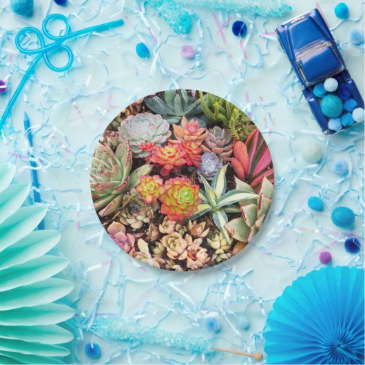 カラフルで水気が多い組合せの紙皿 ペーパープレート (パーティー)